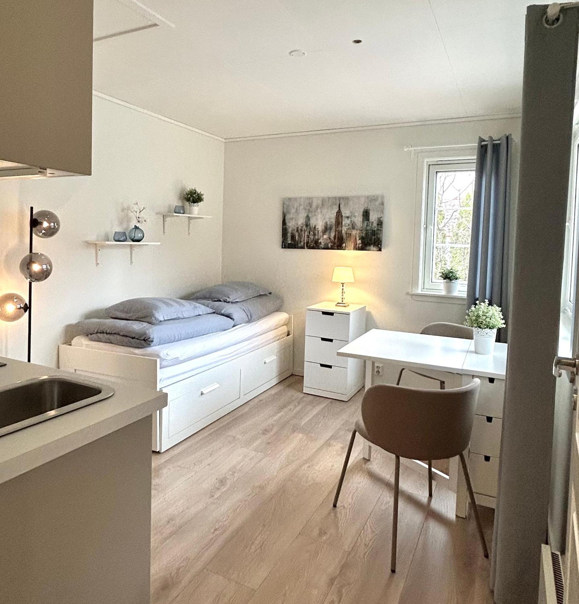 Newly Renovated Studio Apartment - Free Parking And Ev Docking トロンハイム エクステリア 写真